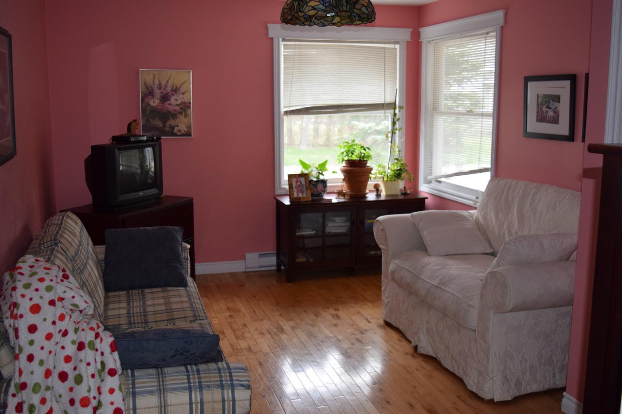 סאינט אנדרוז Queen Street B&B מראה חיצוני תמונה